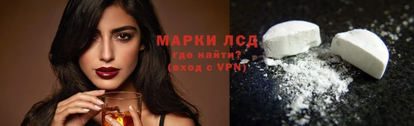 прущие грибы Баксан