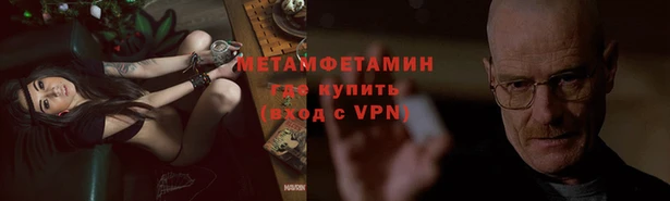 прущие грибы Баксан