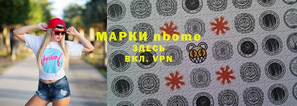 прущие грибы Баксан