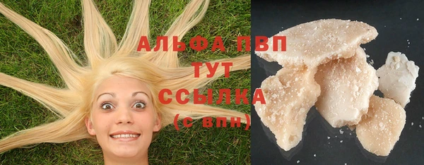 прущие грибы Баксан