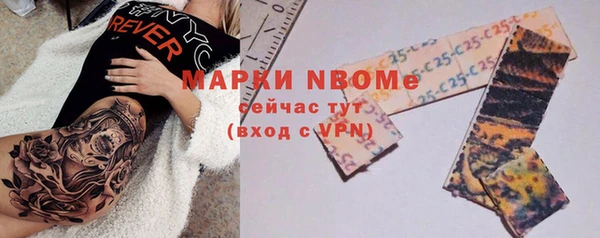 прущие грибы Баксан