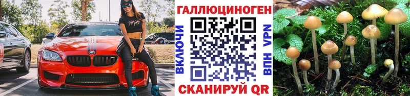 сайты даркнета формула  Кунгур  Псилоцибиновые грибы мухоморы  МЕГА ONION 